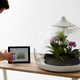 Illustration for article titled Now you can control plants with your iPhone